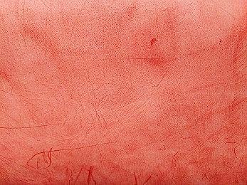 本周Fami通新作评分 《冤罪执行游戏Yurukill》32分