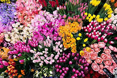 《驱灵者：新伊甸的幽灵》新预告 2月13日发售